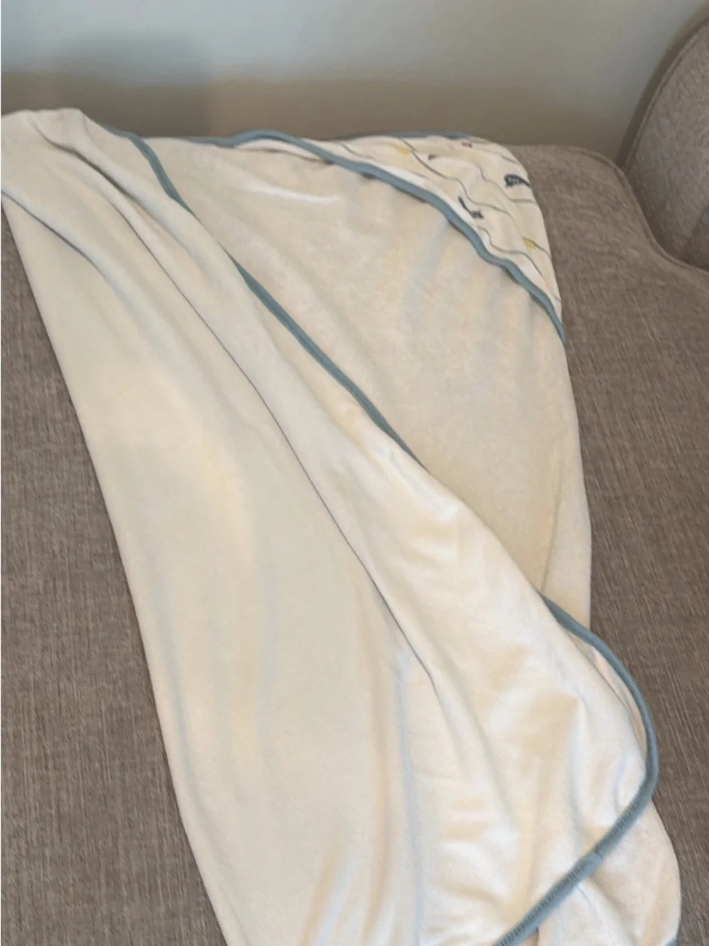 Bundle of 8 Toddler Hooded Towels